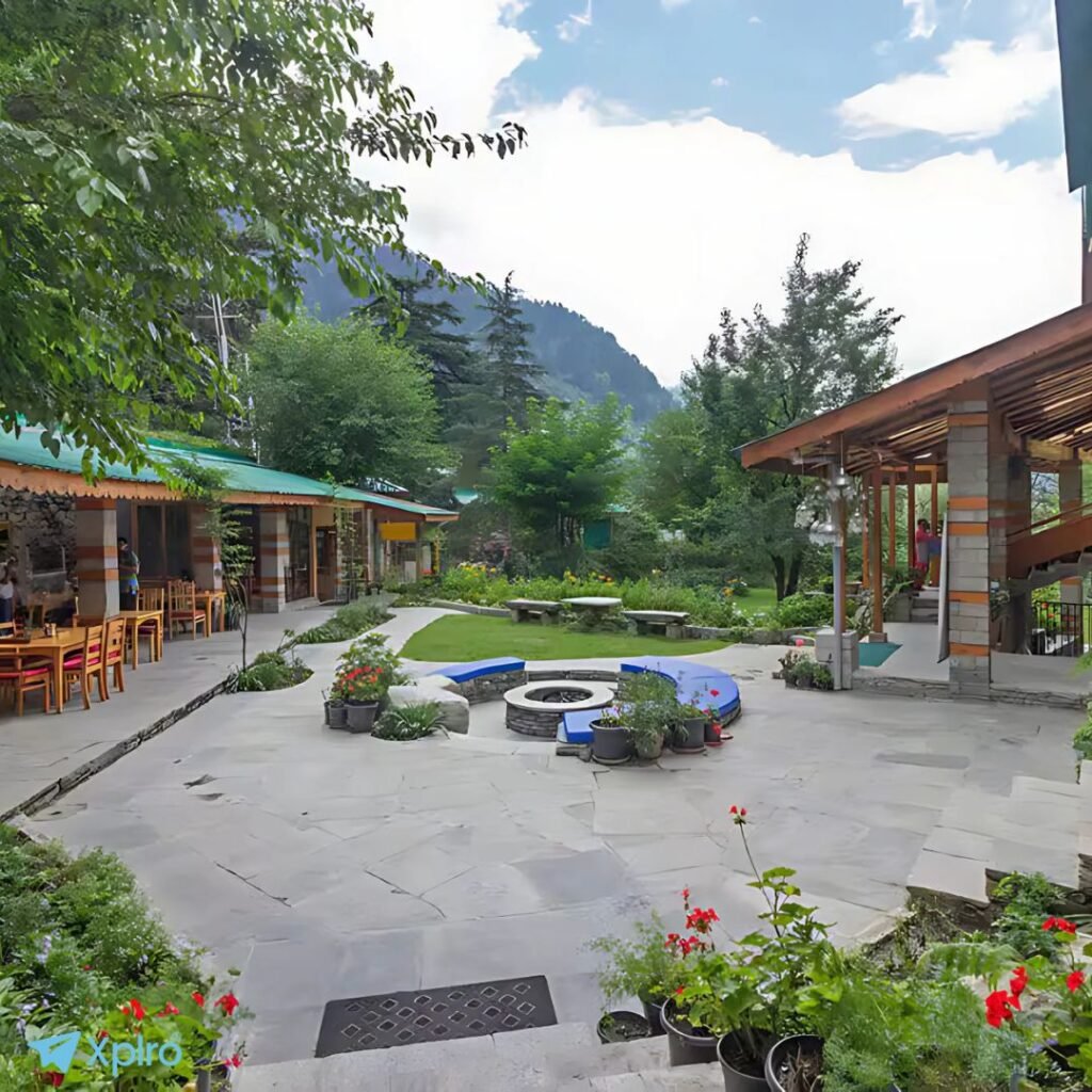 The Johnson’s Café – Elegant & Evergreen, Xplro