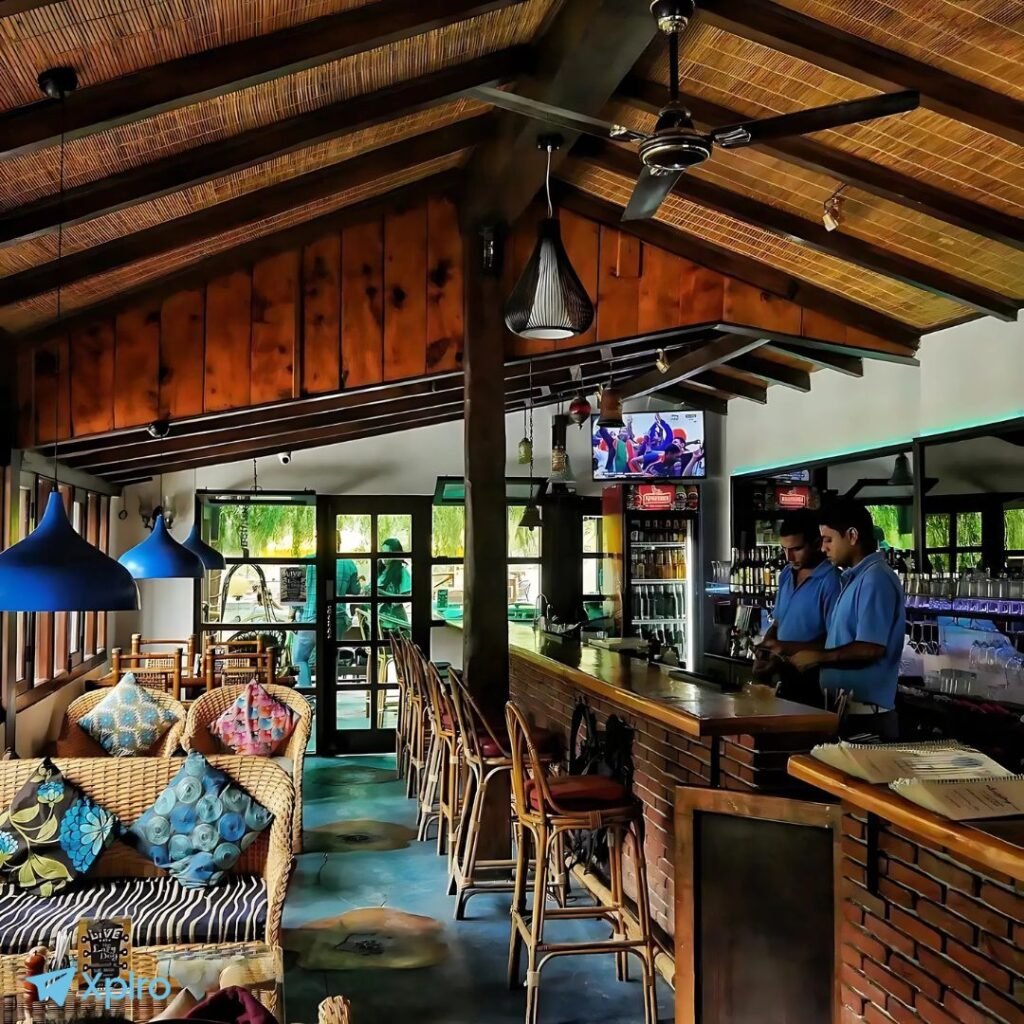 The Lazy Dog Lounge – Food with a River View, Xplro