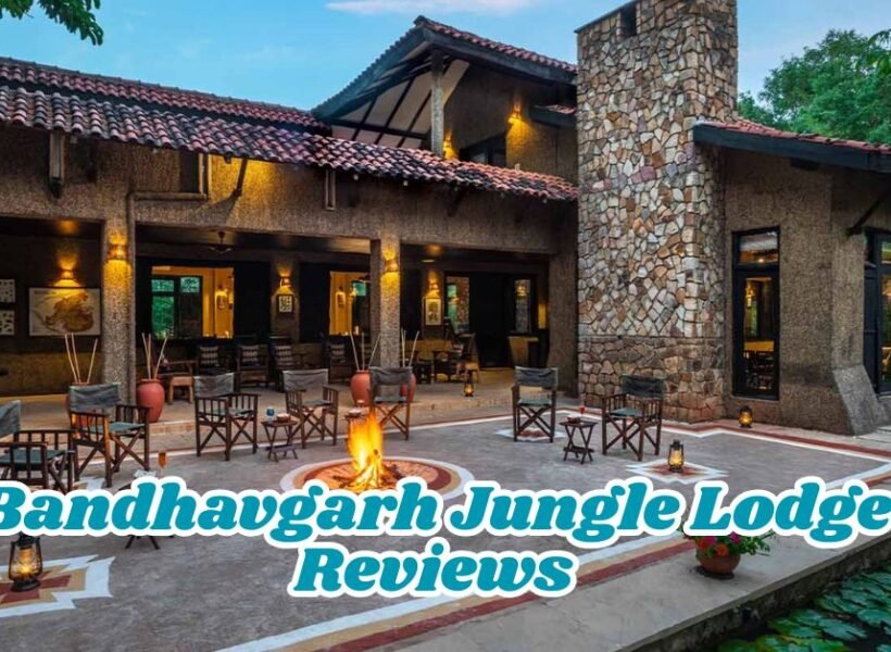 Bandhavgarh Jungle Lodge Reviews: Real Guest Experience Inside