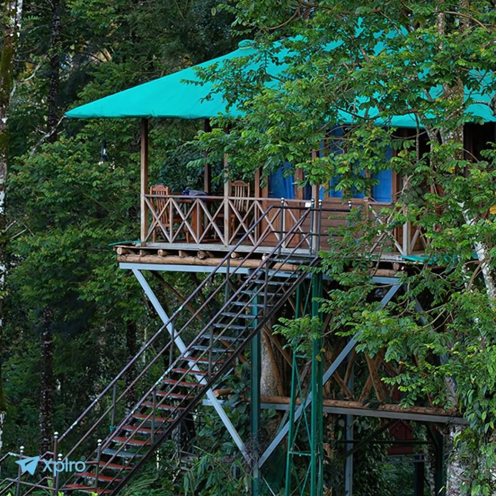 Dream Catcher Plantation Resort, Munnar, Xplro