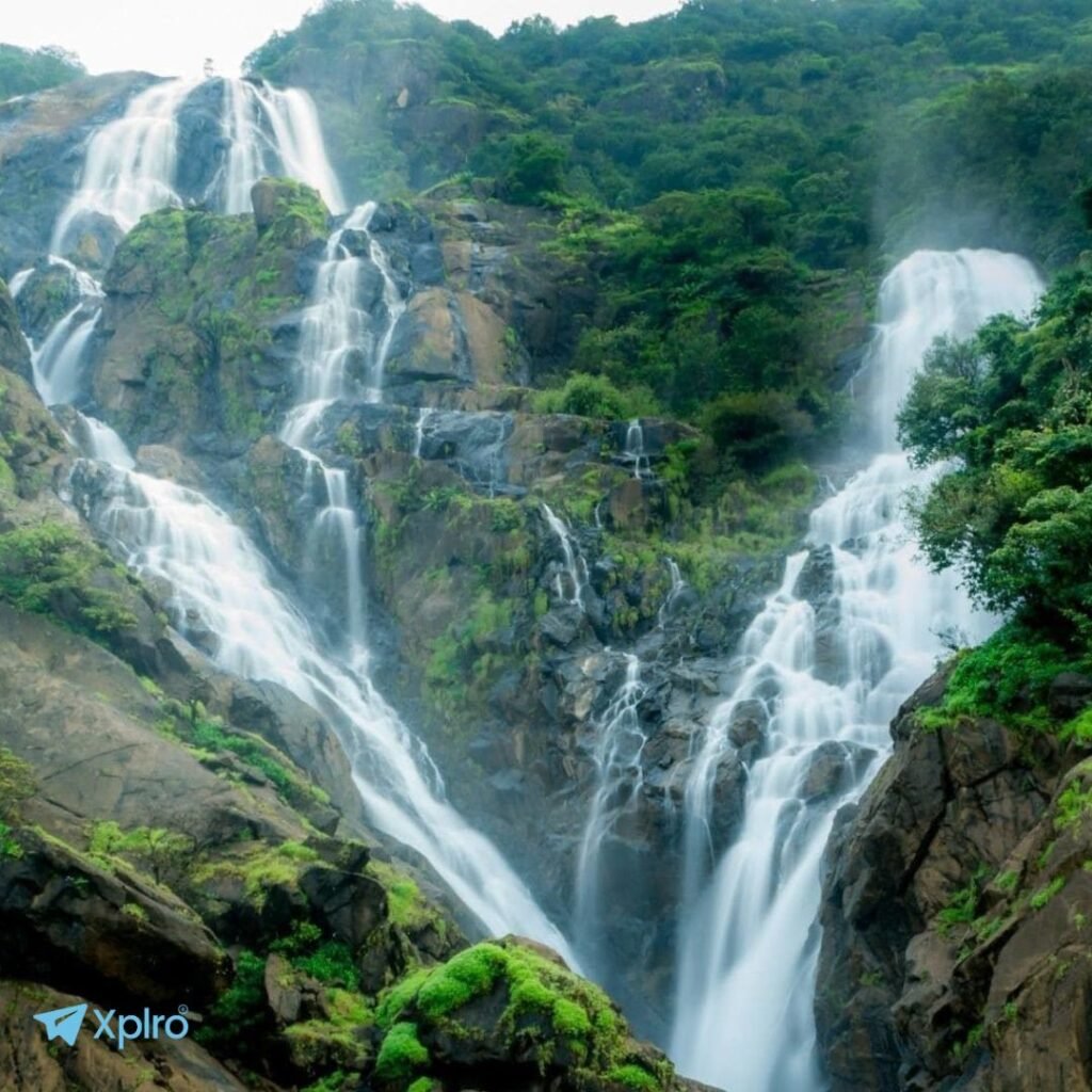 Dudhsagar Unleashed, Xplro