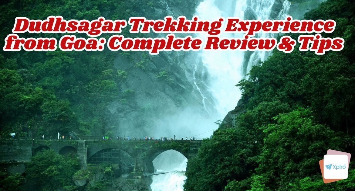 Dudhsagar Trekking Experience from Goa: Complete Review & Tips