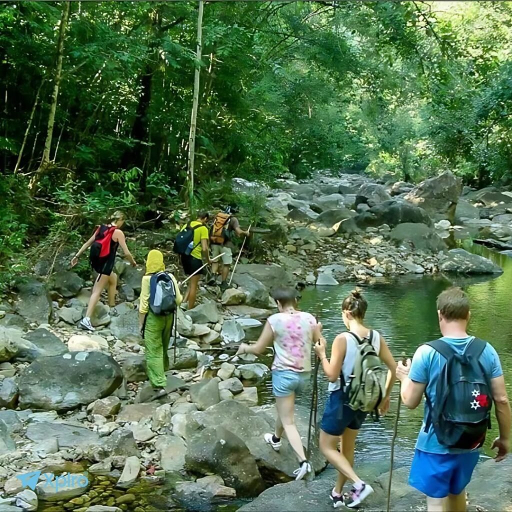 Dudhsagar Falls, Dudhsagar Trek Goa Review