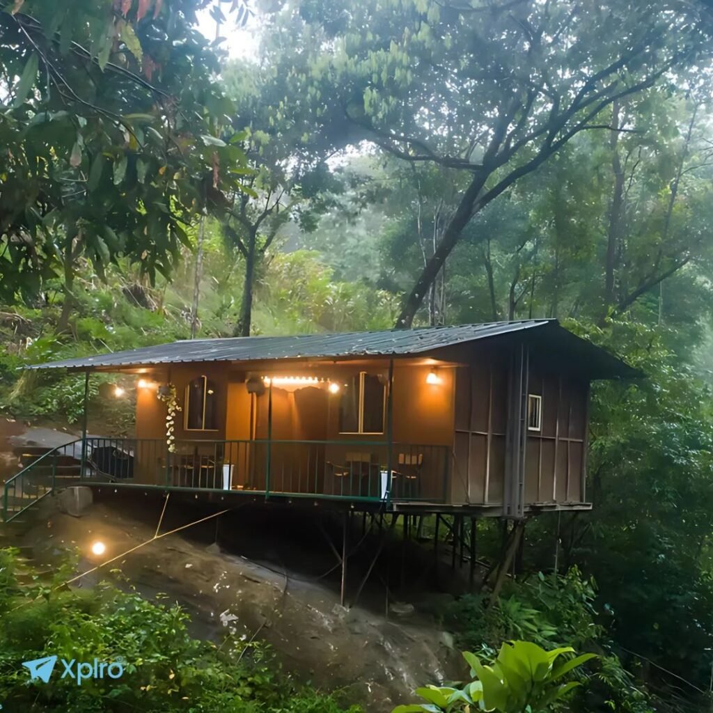 Ela Ecoland Nature Retreat, Munnar, Xplro