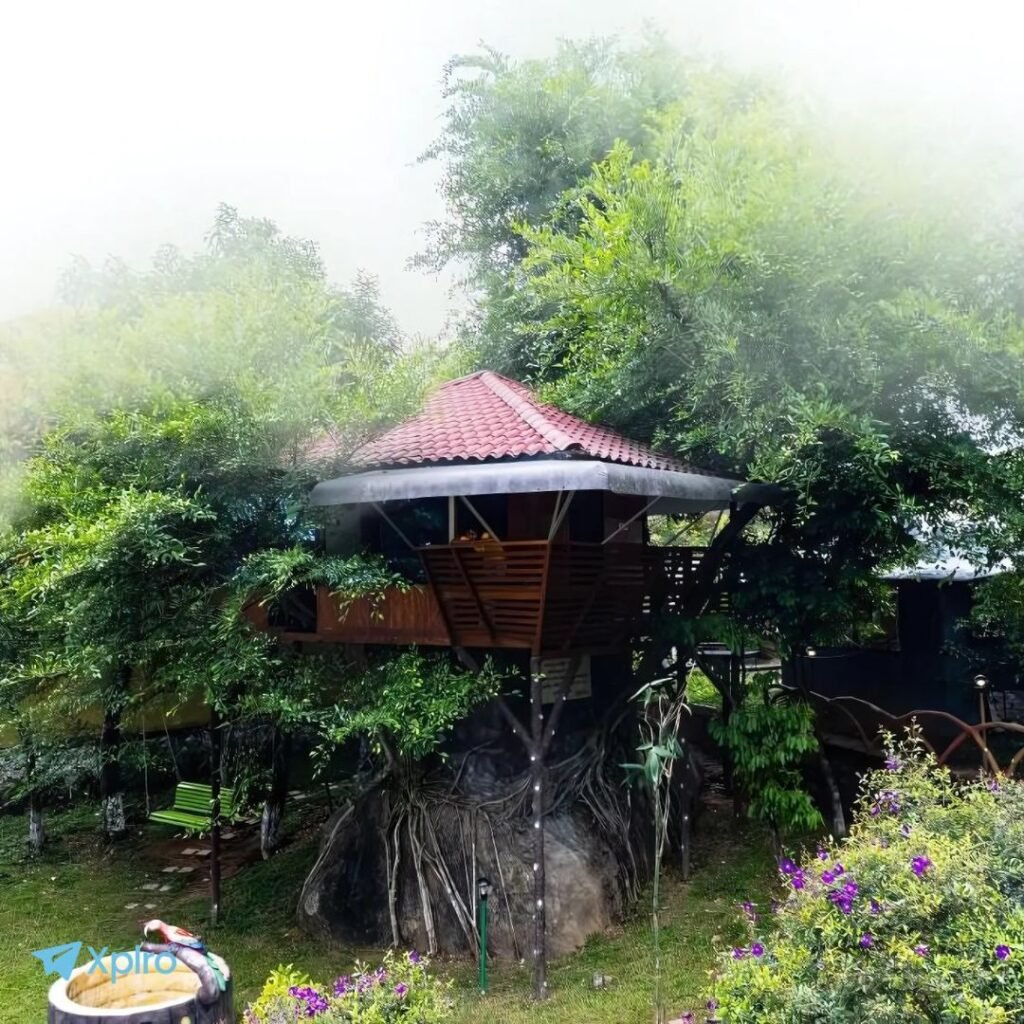 Holiday Vagamon, Xplro