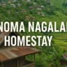 Khonoma Nagaland Homestay