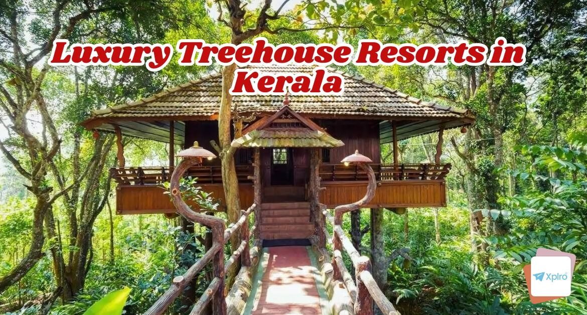 Luxury Treehouse Resorts in Kerala