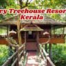 Luxury Treehouse Resorts in Kerala