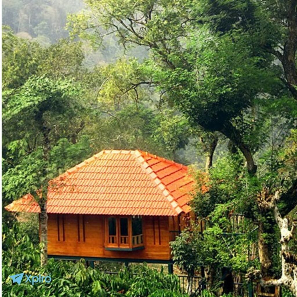 Marmalade Springs Resort, Xplro