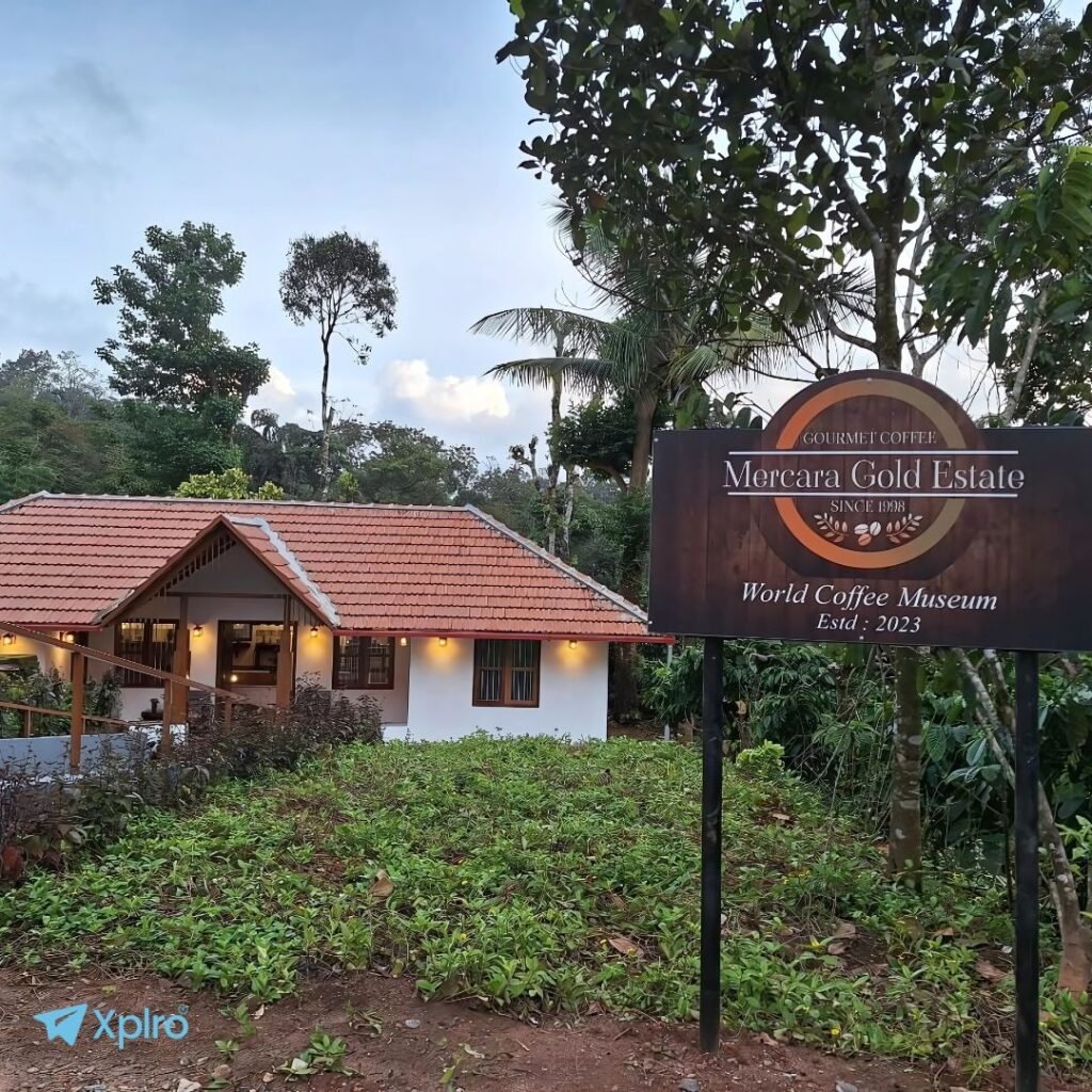 Mercara Gold Estate, Xplro, Coorg Coffee Plantation Tour Review