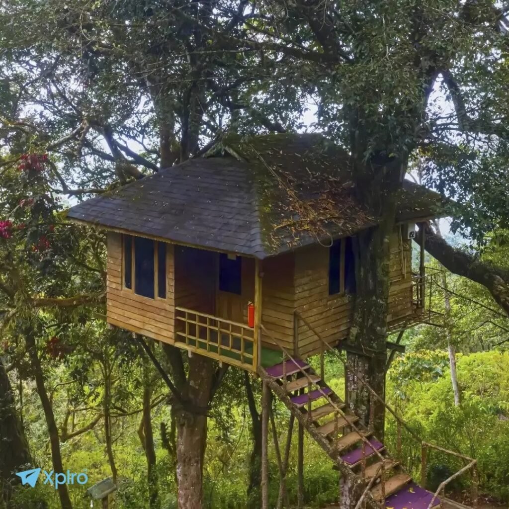 Nature Zone Jungle Resort, Munnar, Xplro