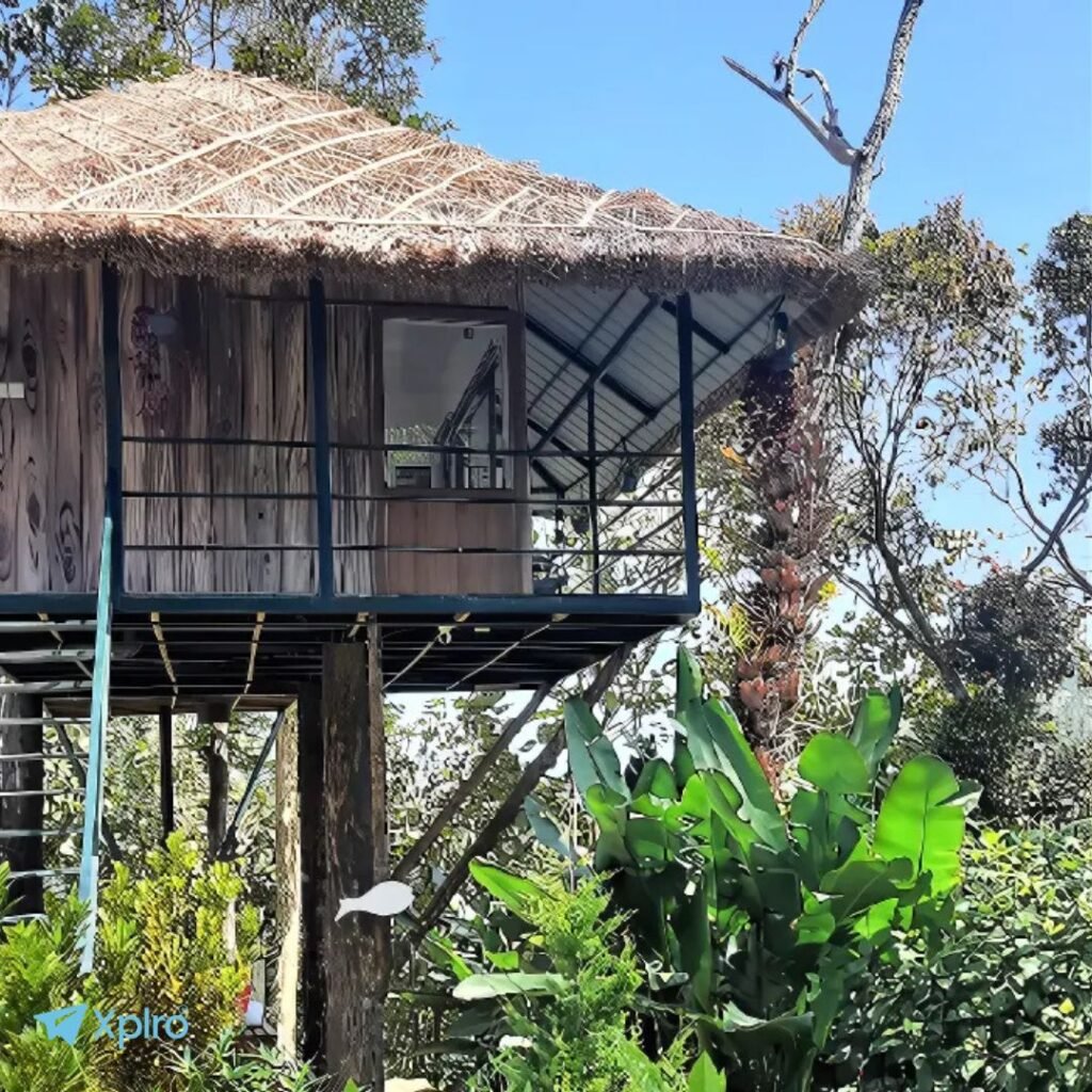 Noah’s Nest Treehouse, Vagamon, Xplro