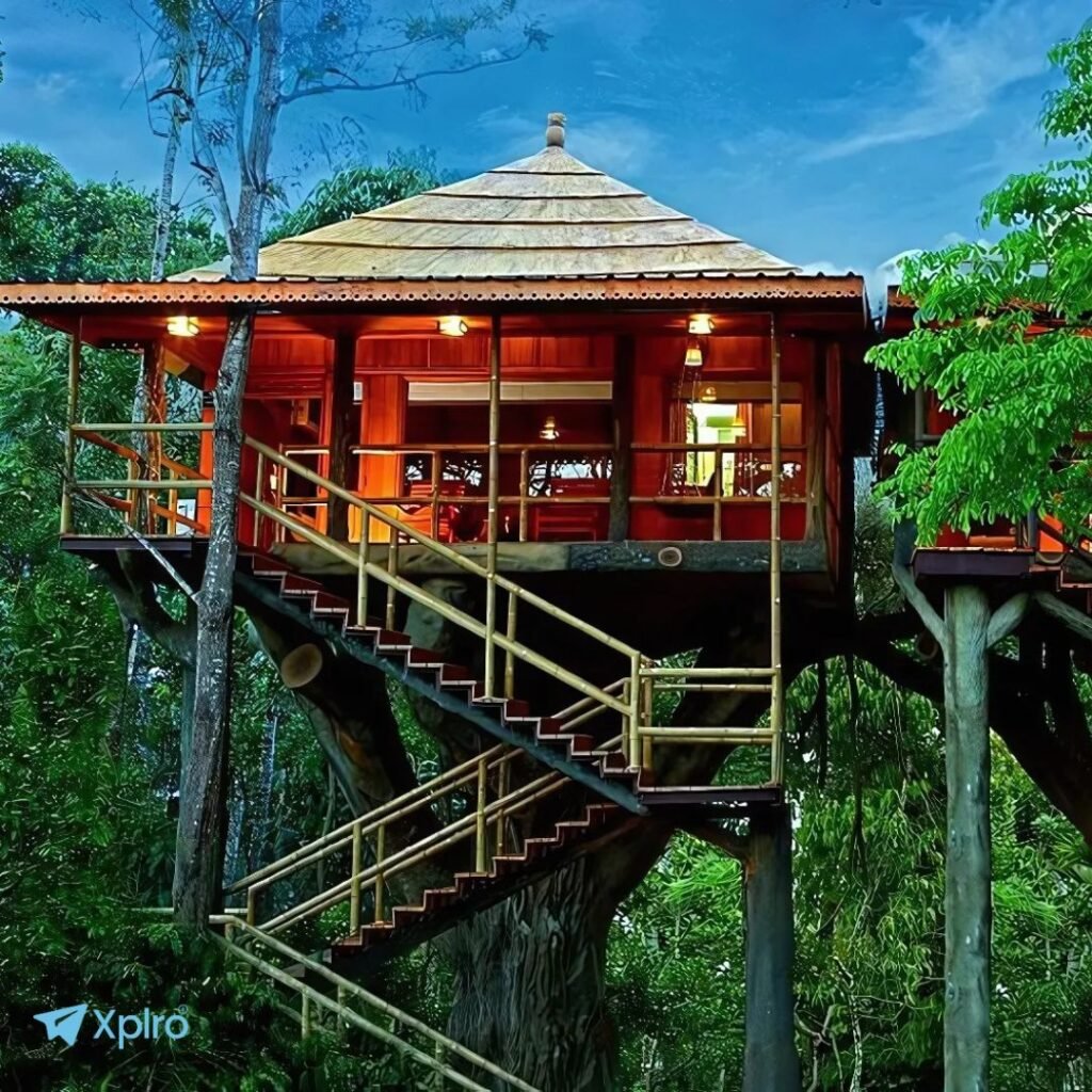 Ranger Wood Nature Castle Machan, Thekkady, Xplro