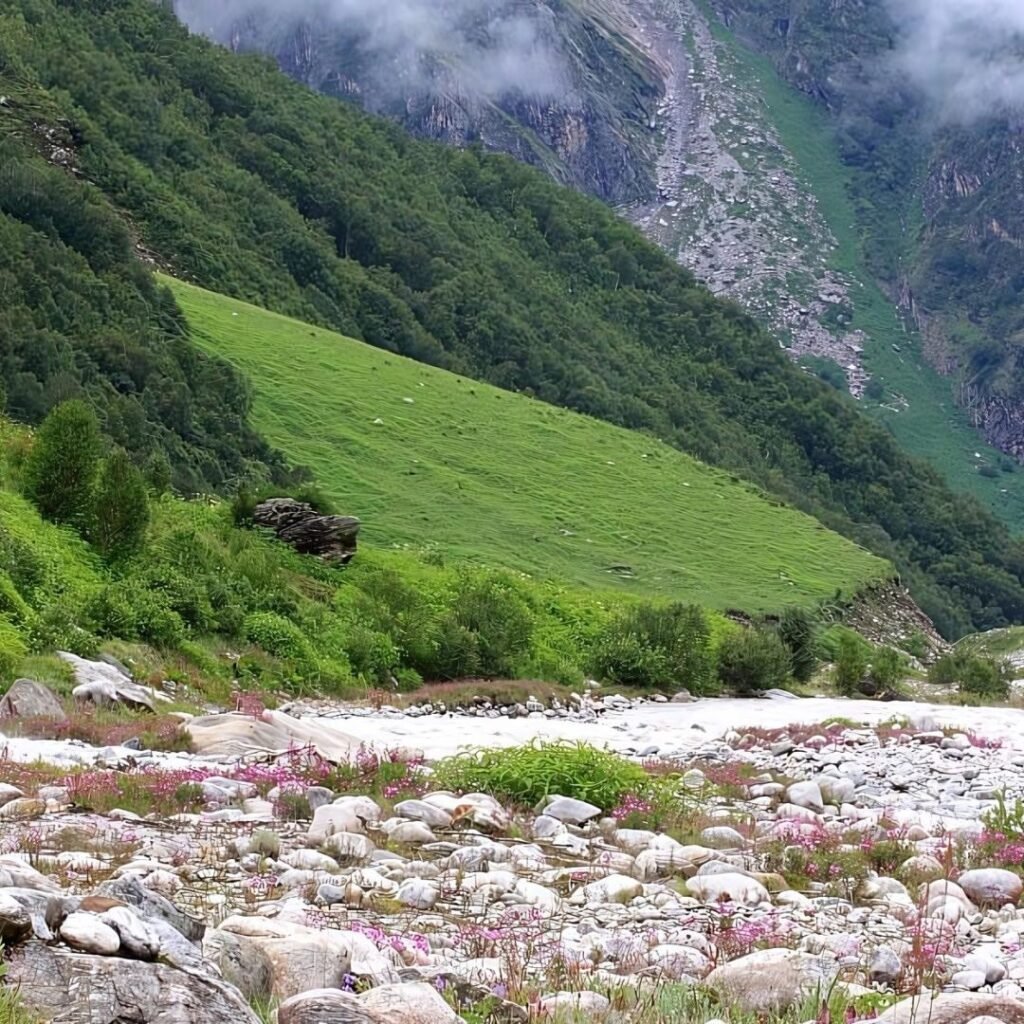Pushpawati River, Xplro