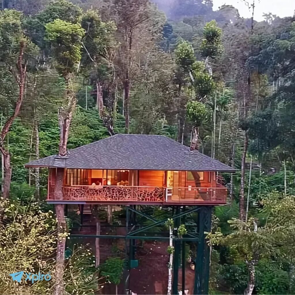 Tranquil Resort, Wayanad, xplro