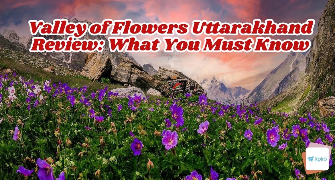 Valley of Flowers Uttarakhand Review: What You Must Know Before You Go