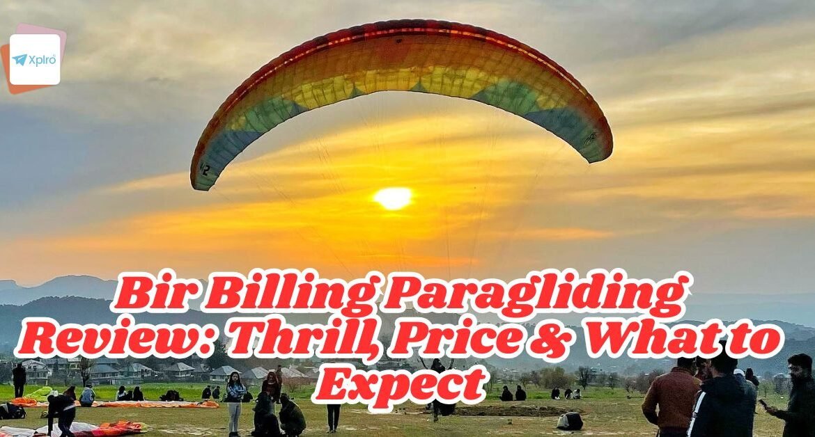 Bir Billing Paragliding Review Thrill, Price & What to Expect