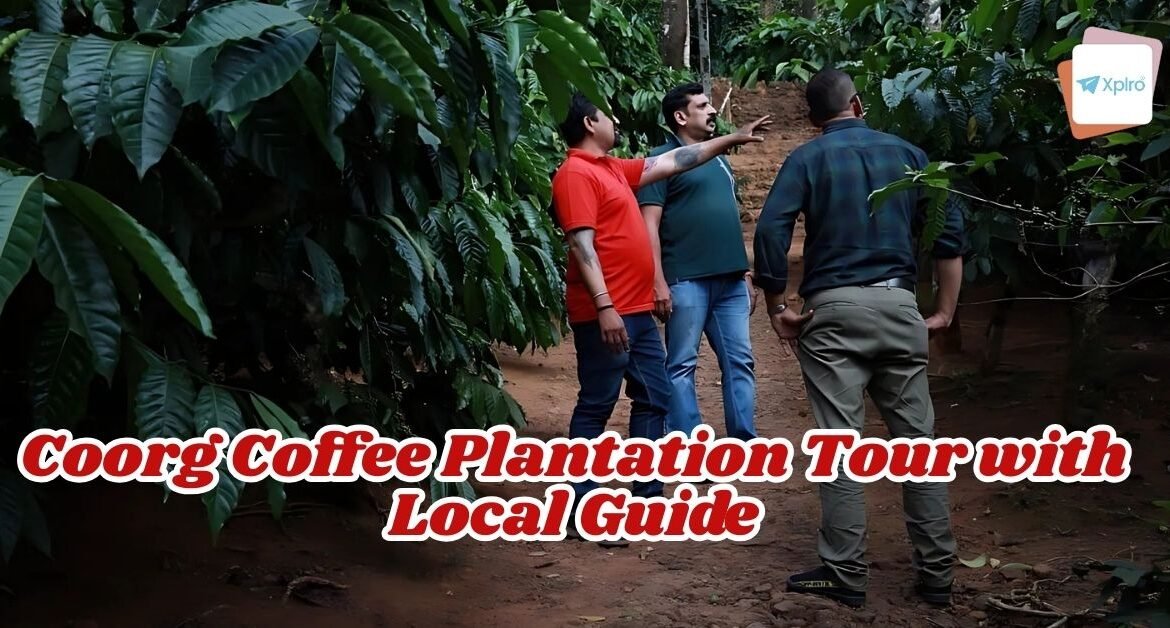 Coorg Coffee Plantation Tour with Local Guide