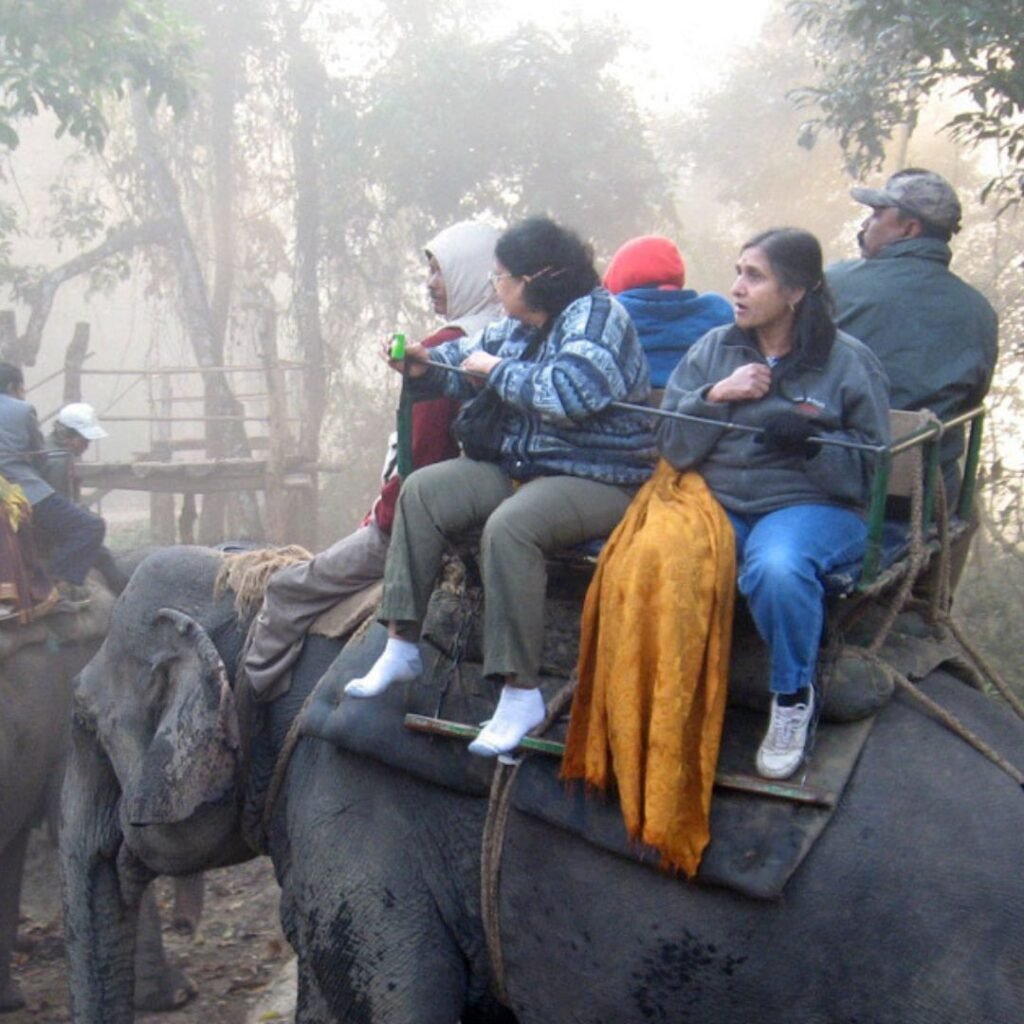 Kaziranga Elephant Safari Family, Xplro