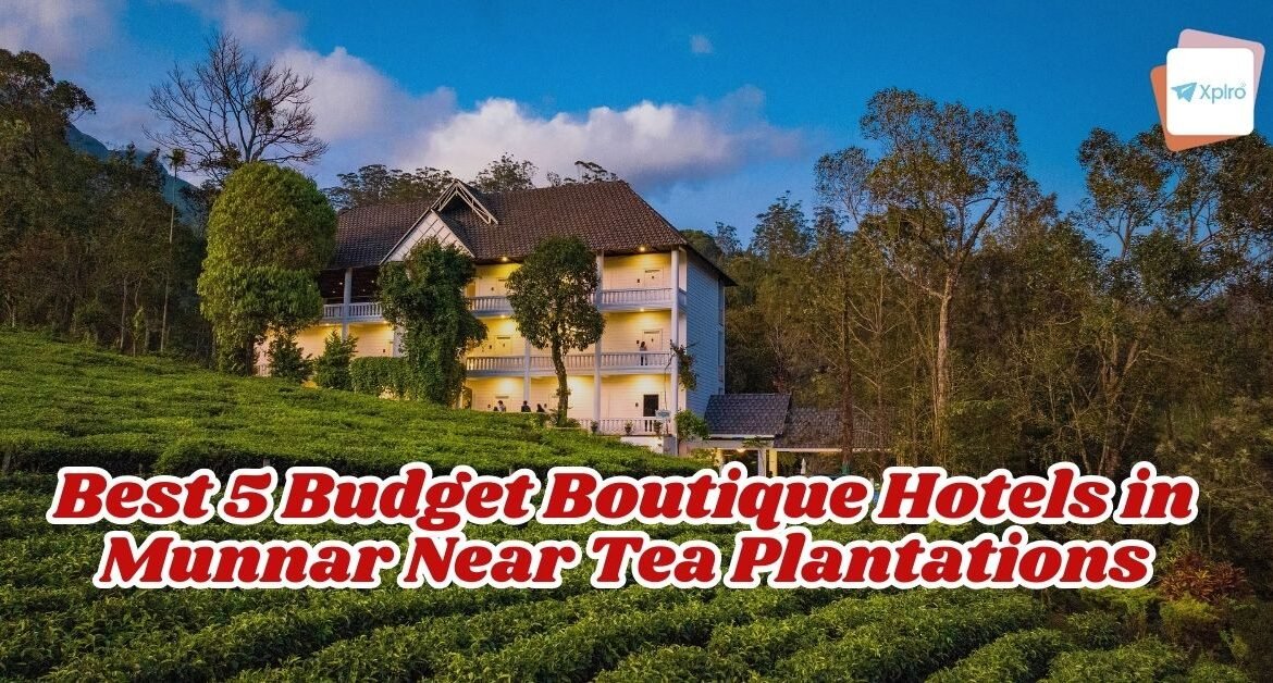 Best 5 Budget Boutique Hotels in Munnar Near Tea Plantations