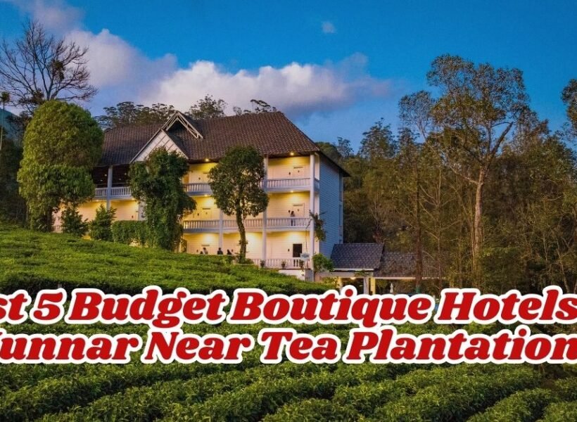Best 5 Budget Boutique Hotels in Munnar Near Tea Plantations