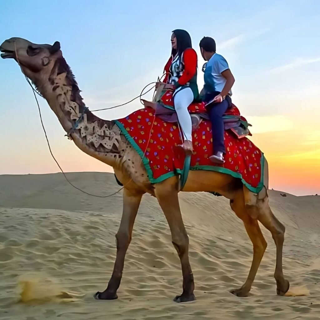 Camel Safari at Sam Sand Dunes, Xplro