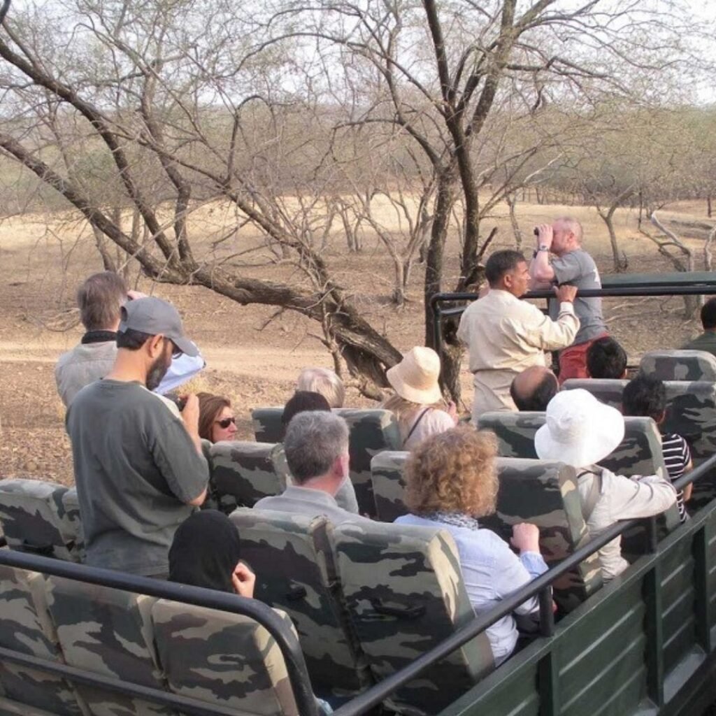 Canter Safaris, Xplro
