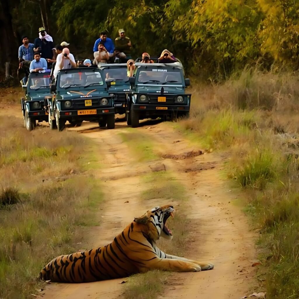 Kanha, Xplro