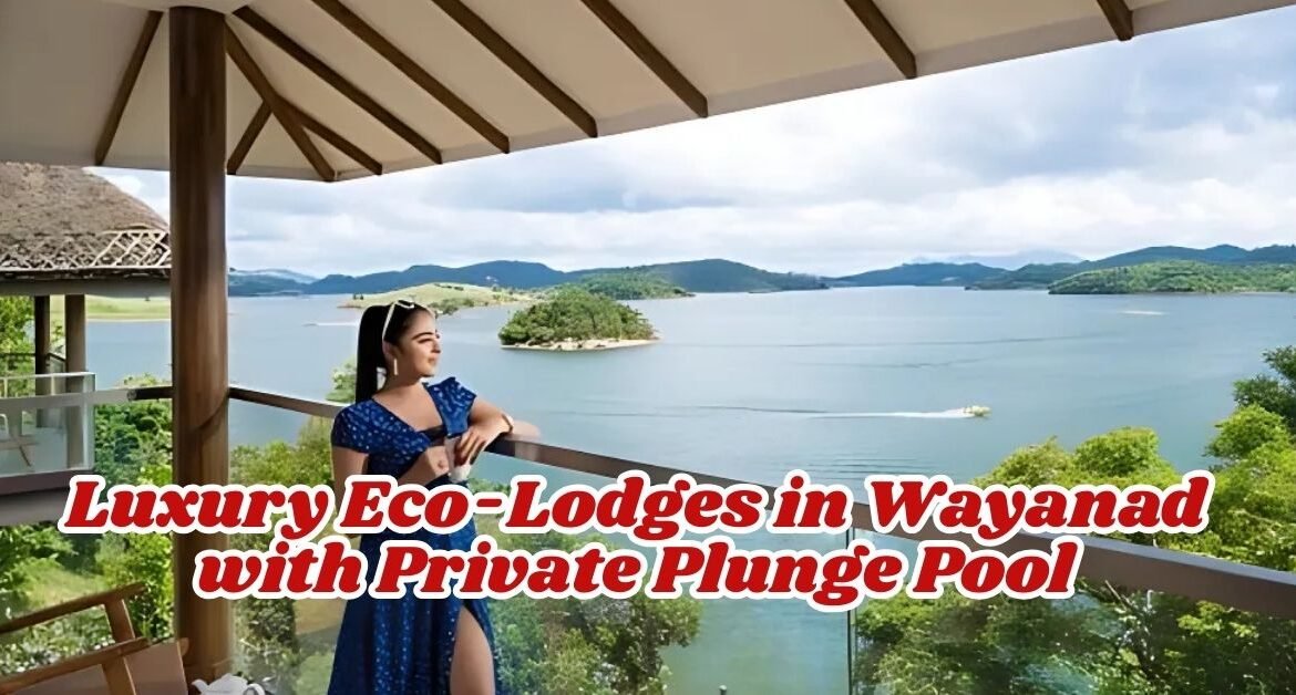 Luxury Eco-Lodges in Wayanad with Private Plunge Pool