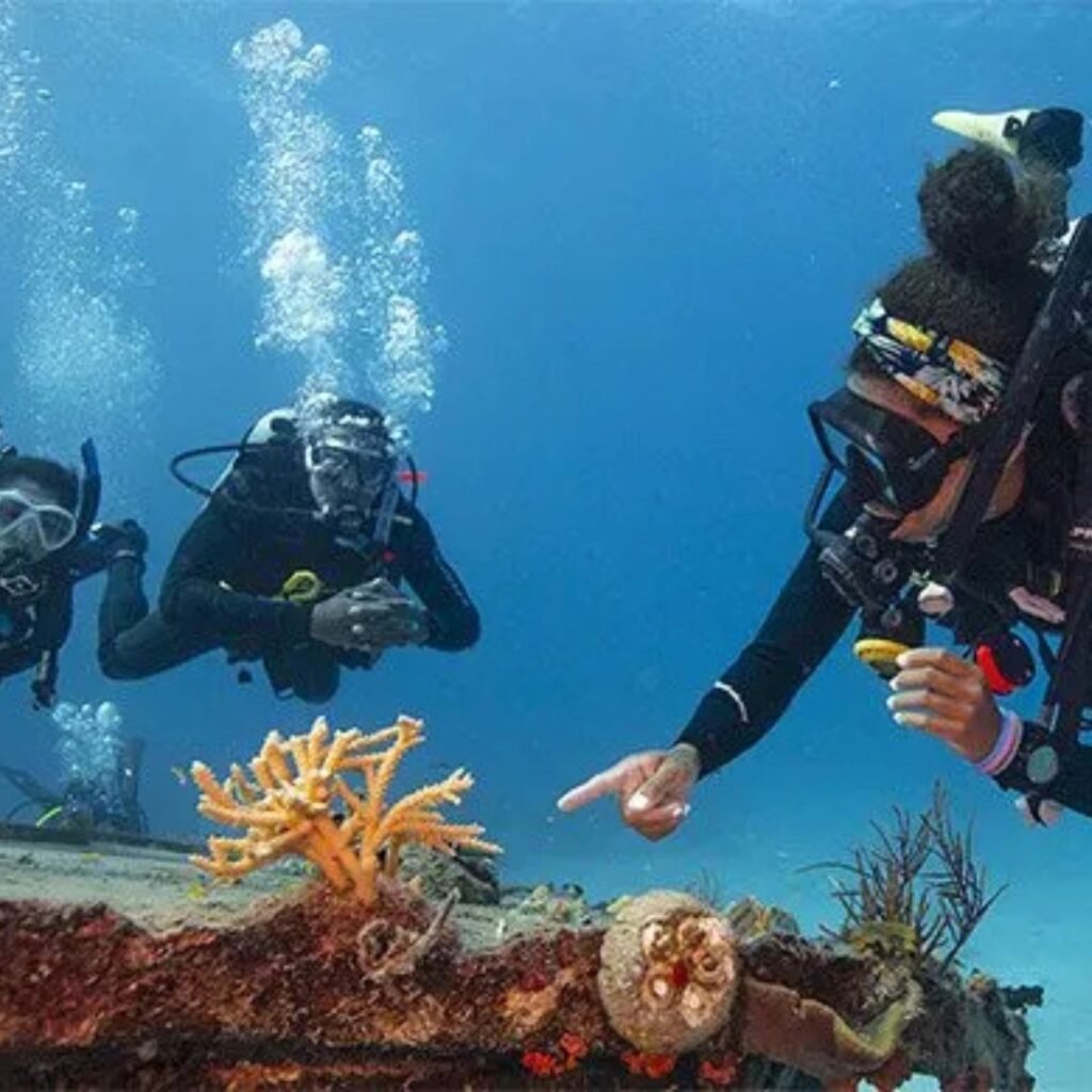PADI Divemaster Course, Xplro