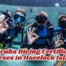 PADI Scuba Diving Certification Courses in Havelock Island