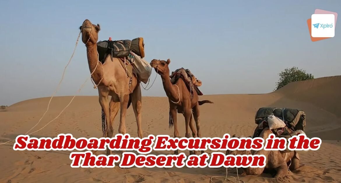 Sandboarding Excursions in the Thar Desert at Dawn – The Complete Guide