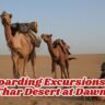 Sandboarding Excursions in the Thar Desert at Dawn – The Complete Guide