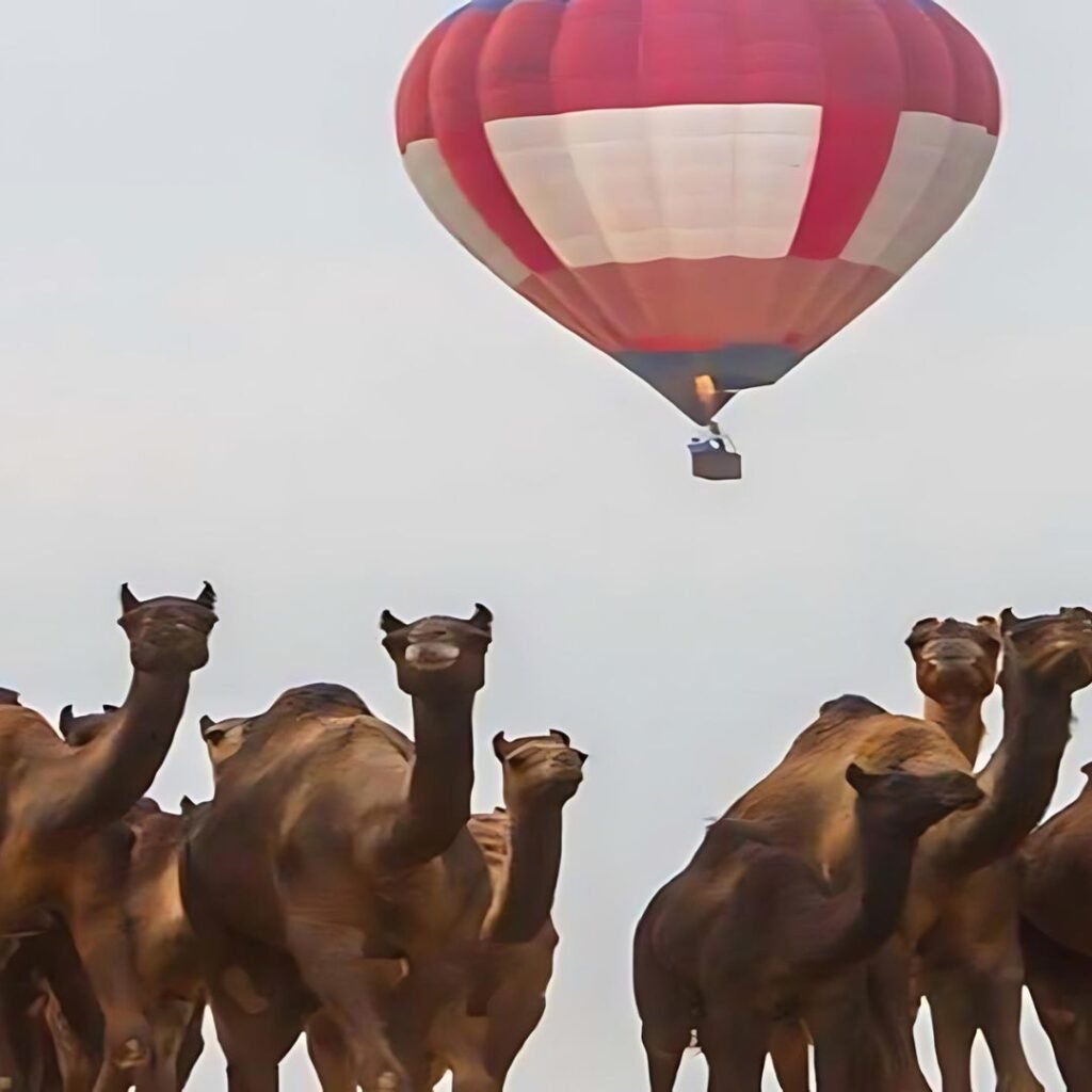 Adventure Nation Collaborations Organizes ballooning during Camel Fair