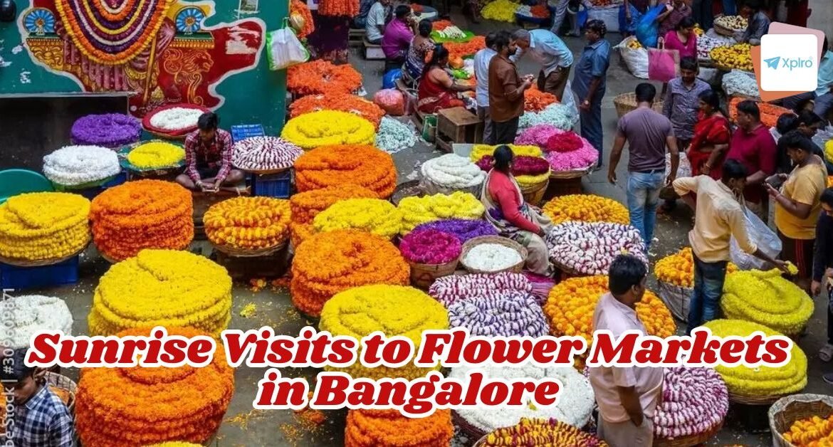 Sunrise Visits to Flower Markets in Bangalore