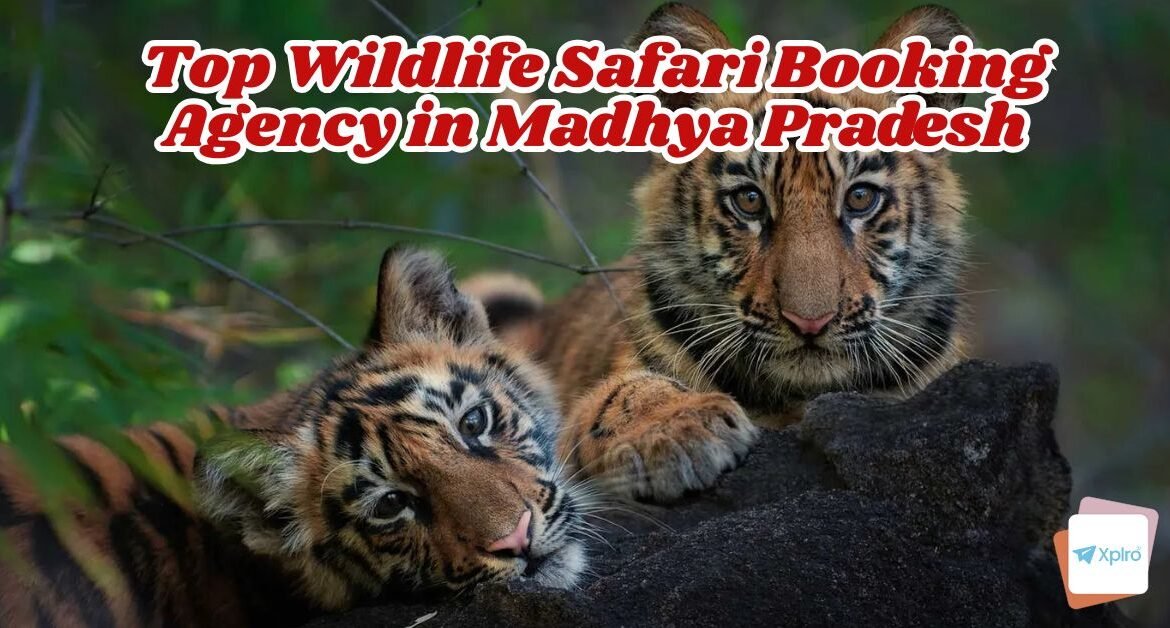Top Wildlife Safari Booking Agency in Madhya Pradesh