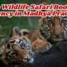 Top Wildlife Safari Booking Agency in Madhya Pradesh