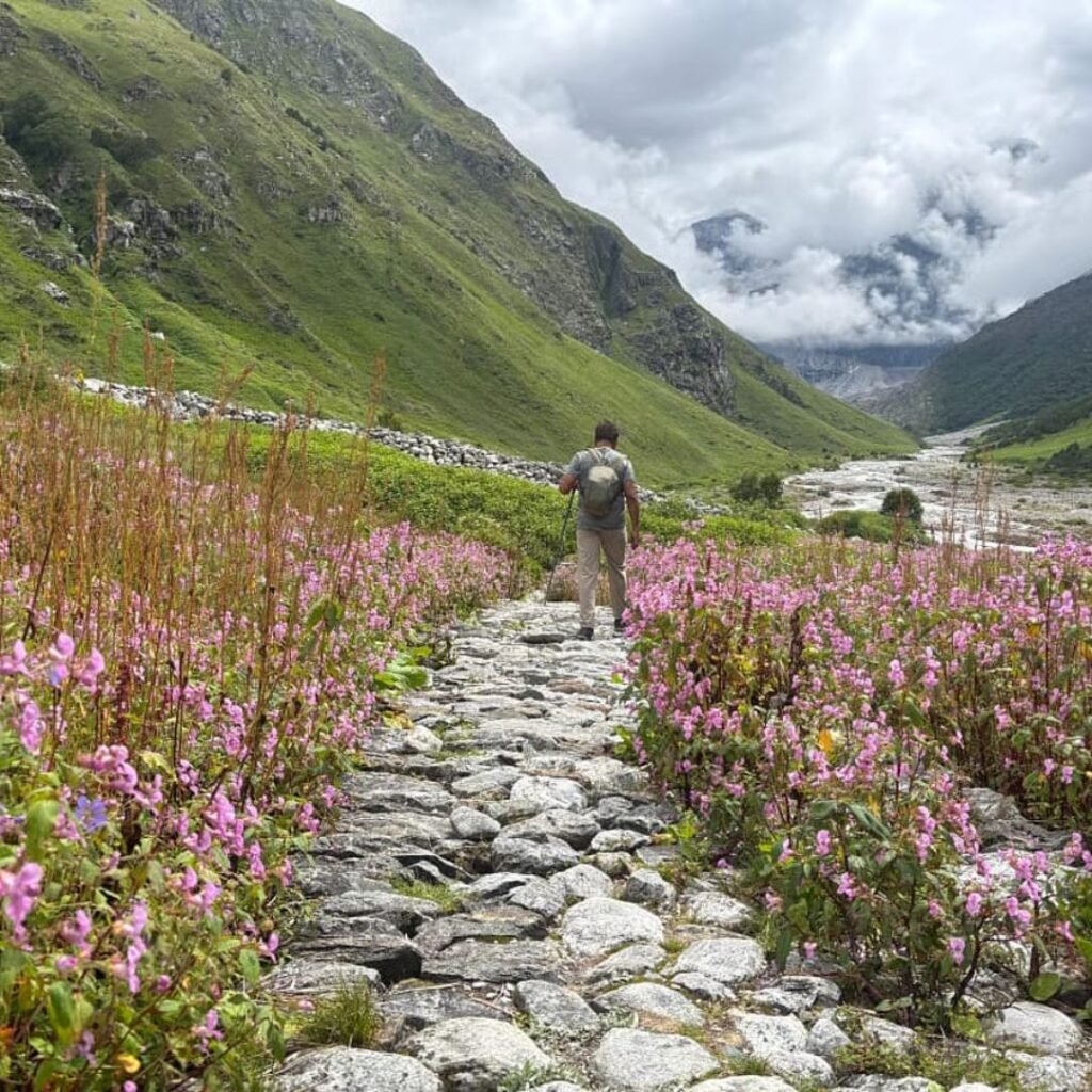 Valley of Flowers, Xplro