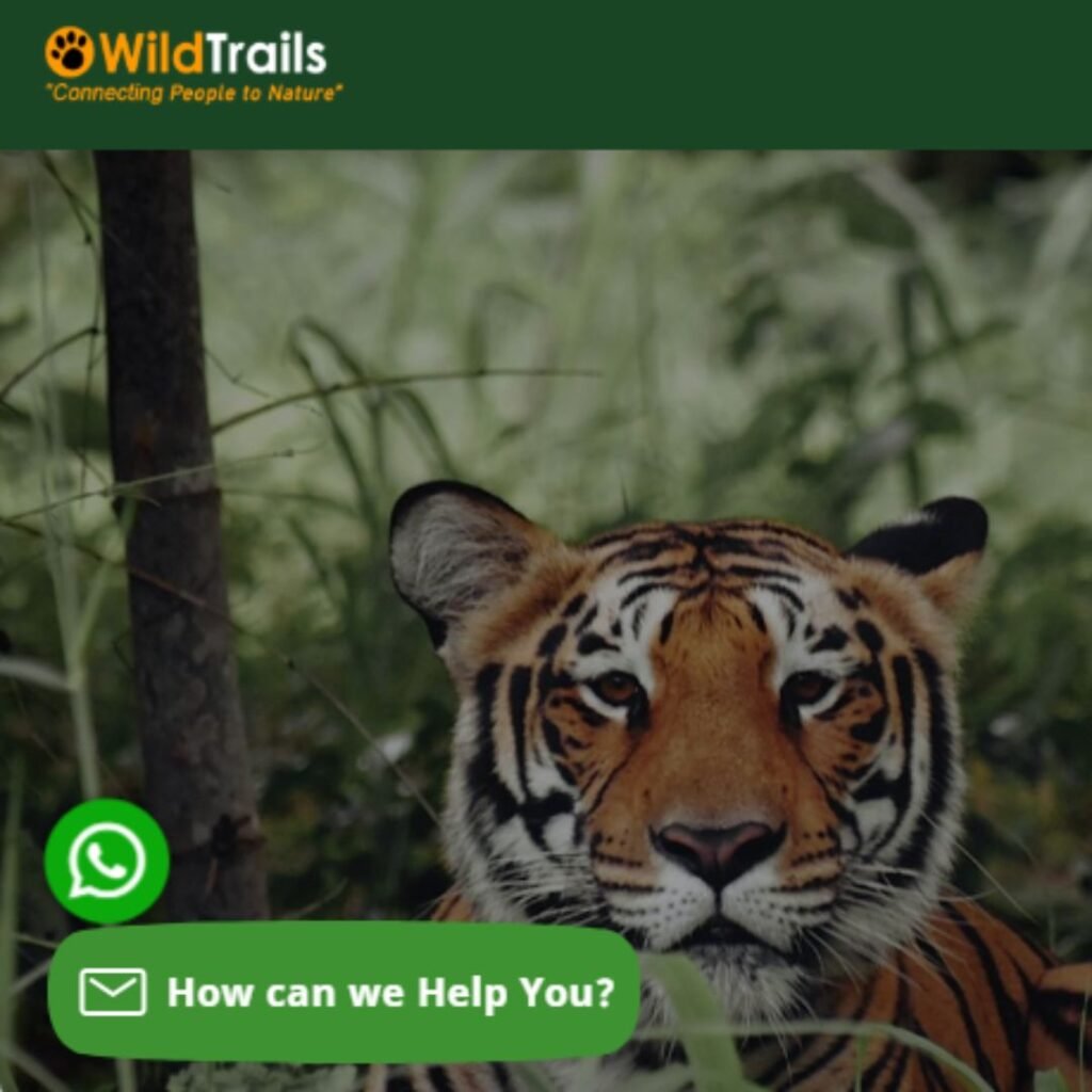 WildTrails India, Xplro