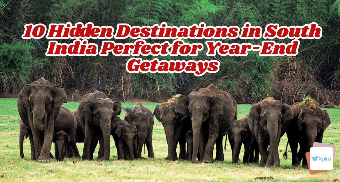 10 Hidden Destinations in South India Perfect for Year-End Getaways