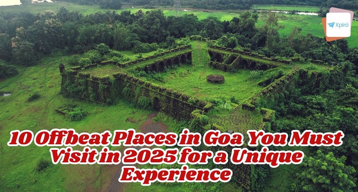 10 Offbeat Places in Goa You Must Visit in 2025 for a Unique Experience