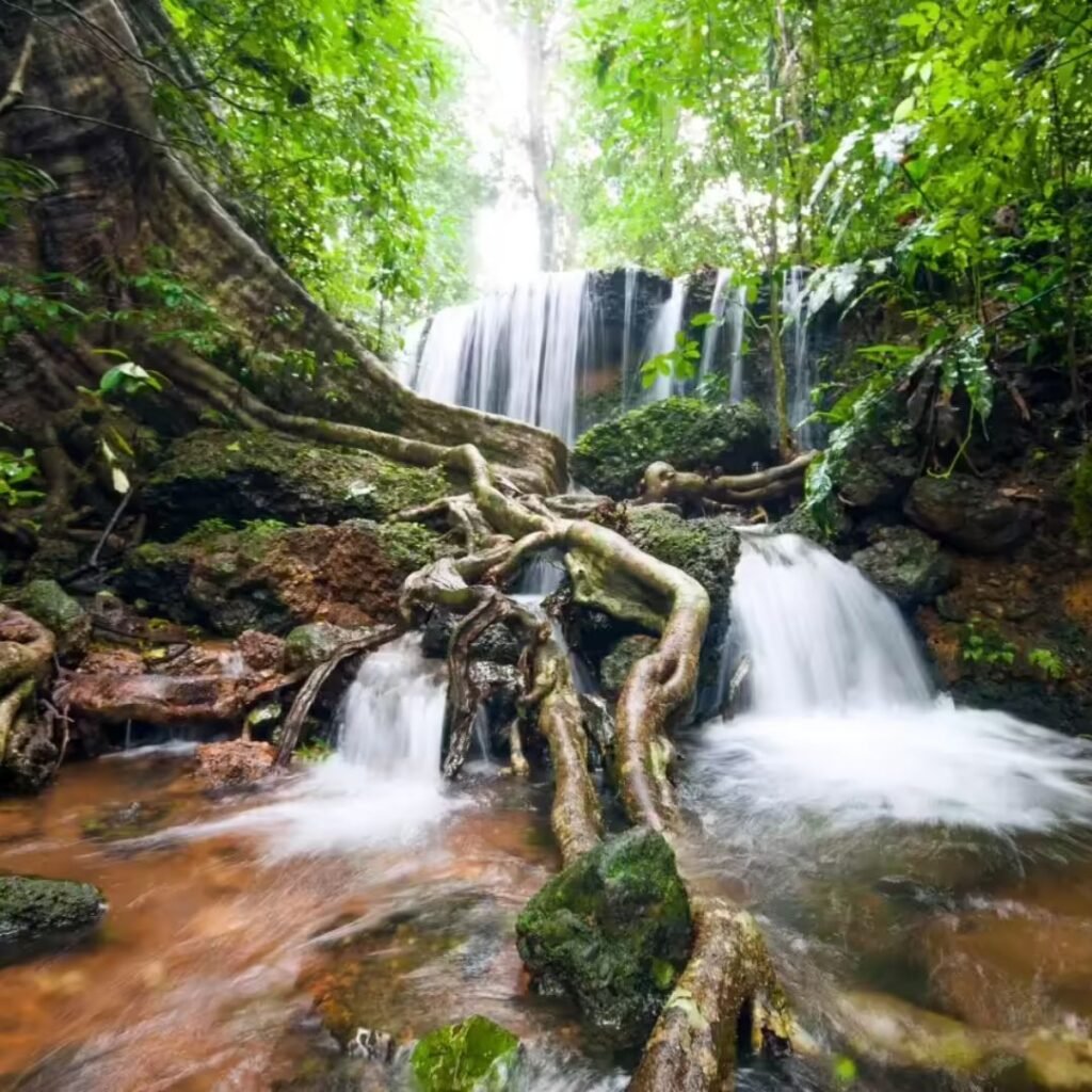 Hidden Destinations in South India, Xplro
