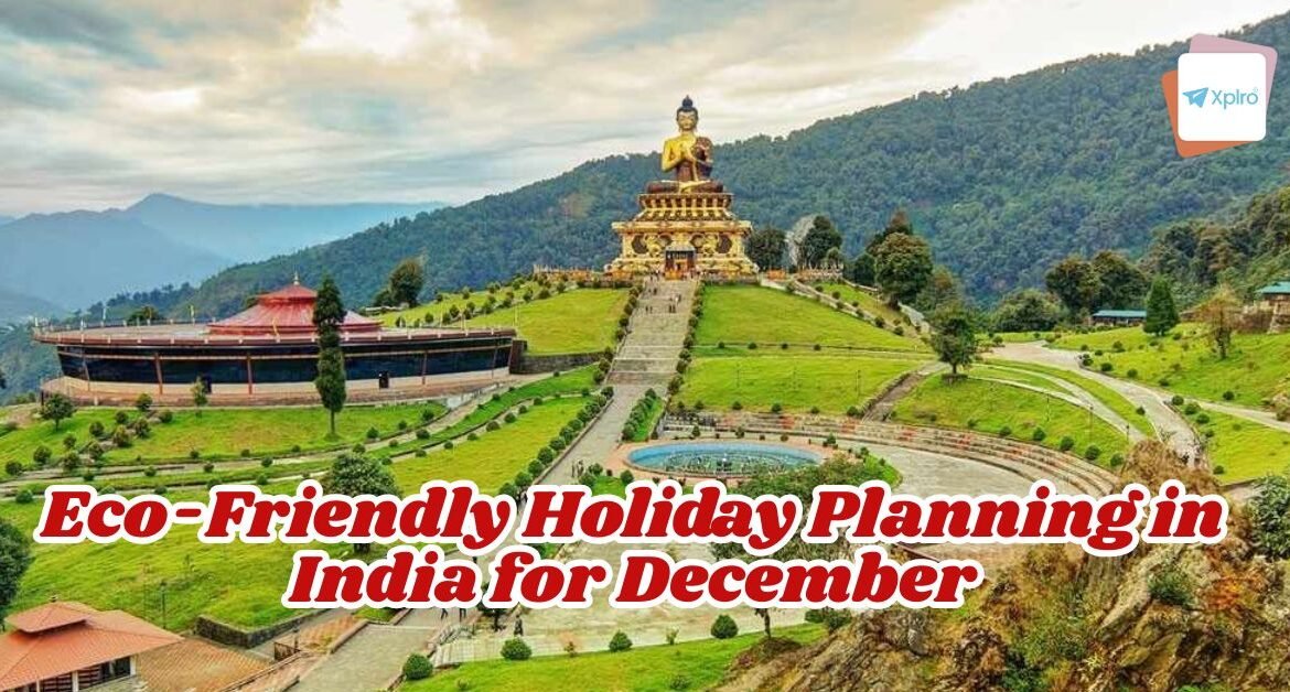 Eco-Friendly Holiday Planning in India for December