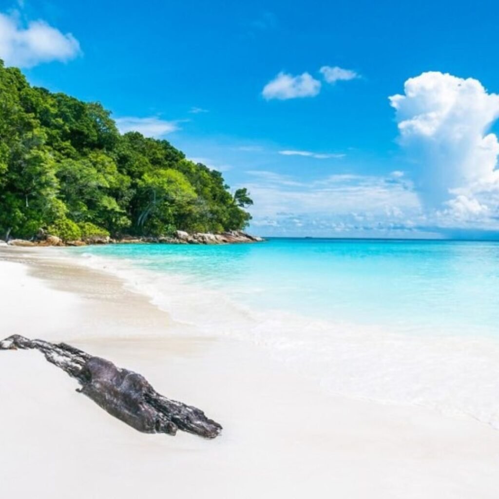 Havelock Island, Xplro