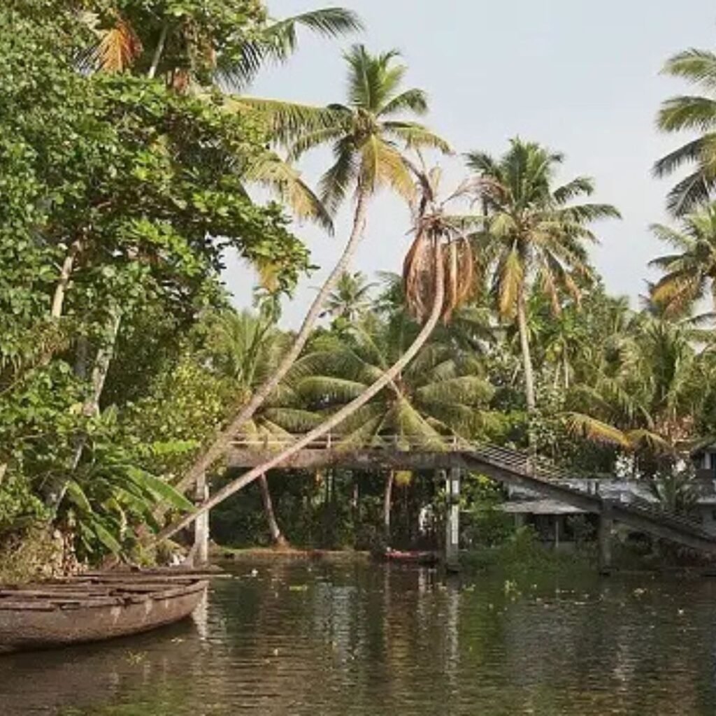 Kumbalangi