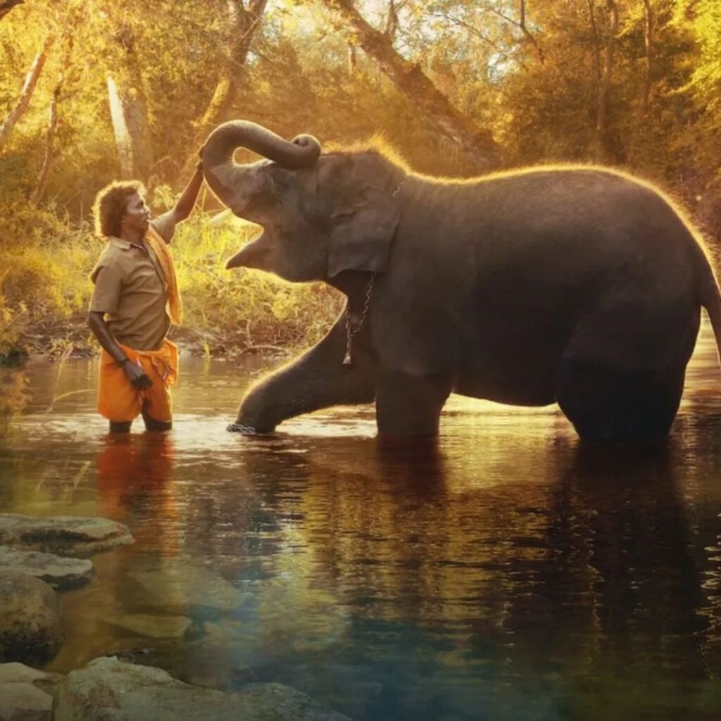 Theppakadu Elephant Camp, Mudumalai