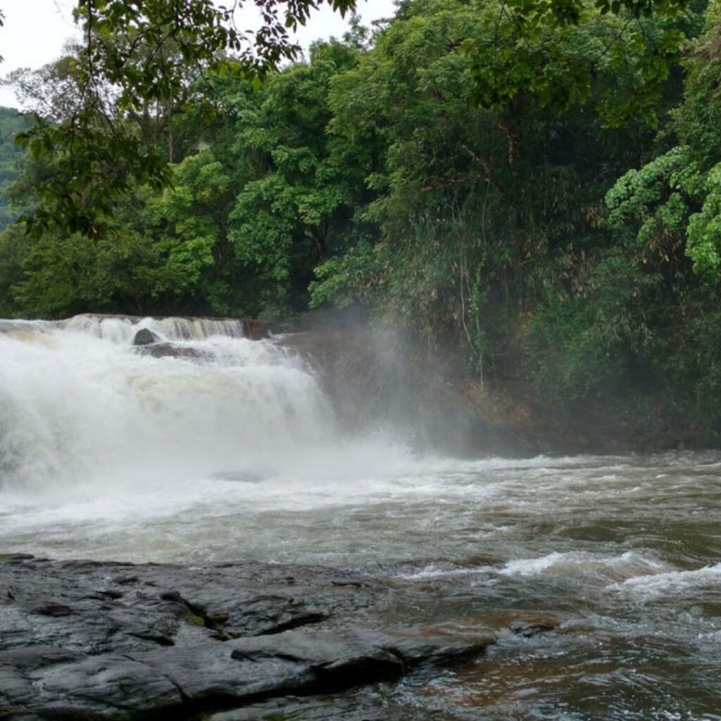 Thommankuthu Falls