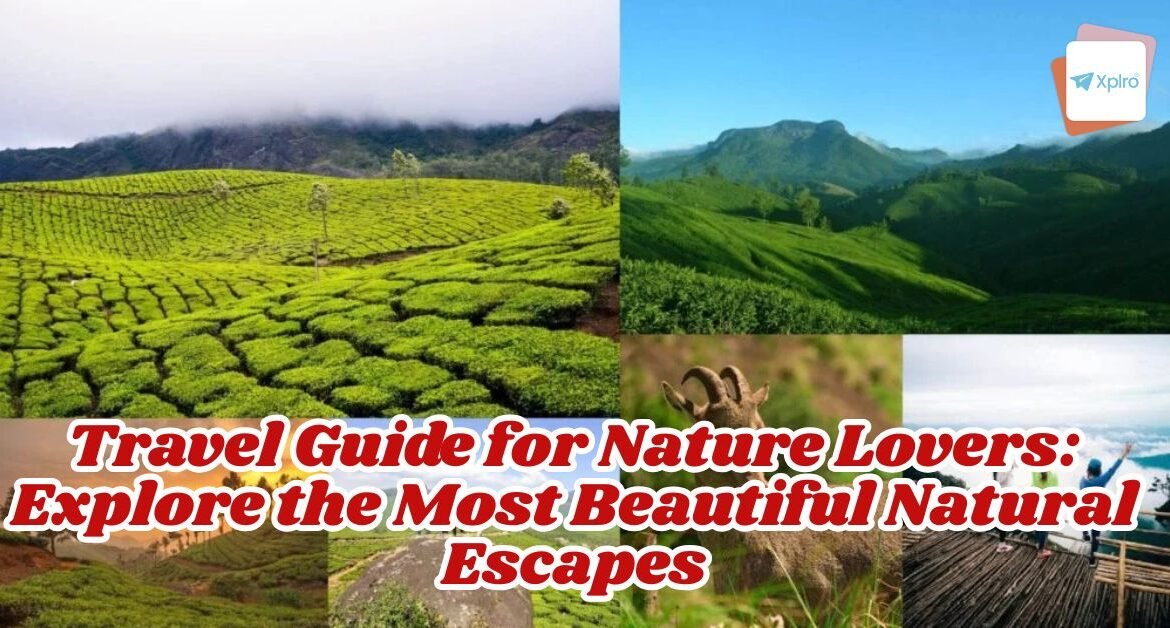Travel Guide for Nature Lovers: Explore the Most Beautiful Natural Escapes