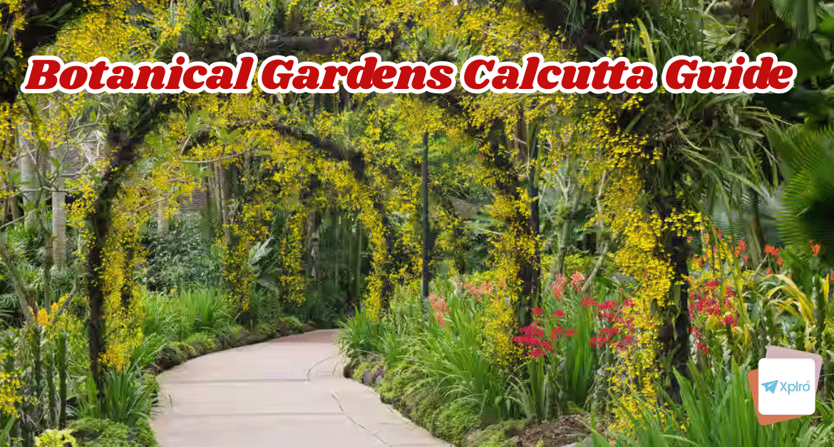 Great Banyan Tree Botanical Gardens Calcutta 2025