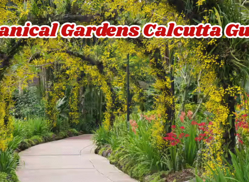Great Banyan Tree Botanical Gardens Calcutta 2025